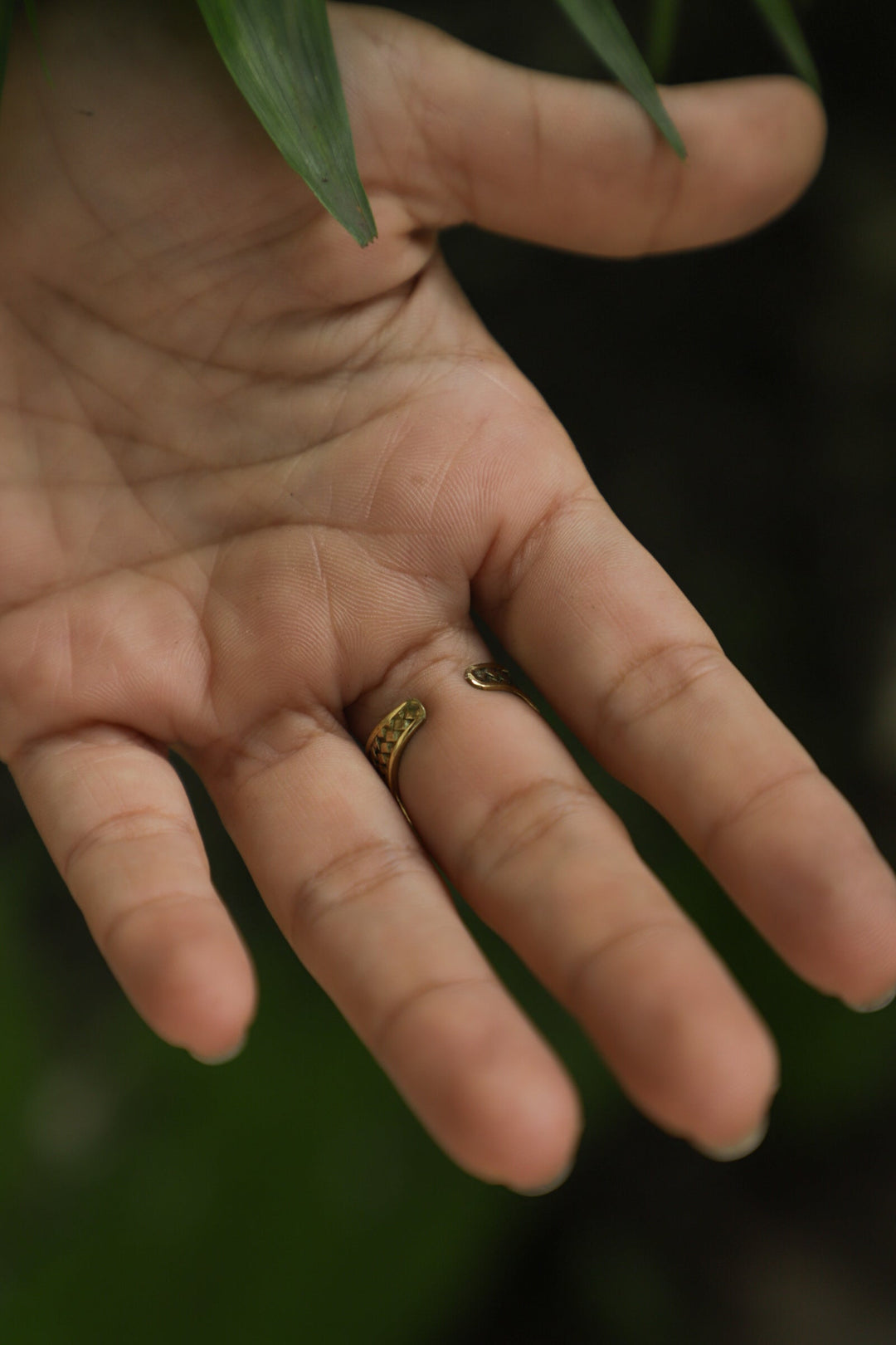 Matted brass ring